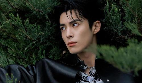 娱乐吃瓜爆料王鹤棣