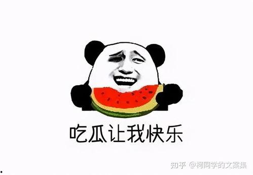 娱乐吃瓜酱学不进去了,学不进去了，揭秘学习困境背后的娱乐诱惑